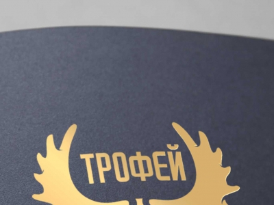 Разработка логотипа охотничьего хозяйства Трофей