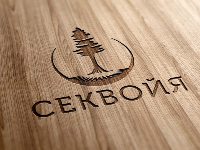 Разработка логотипа Секвойя