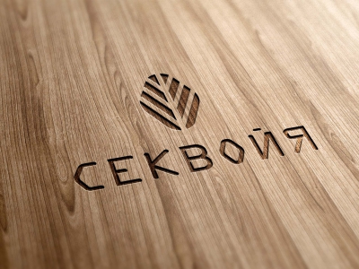 Разработка логотипа Секвойя